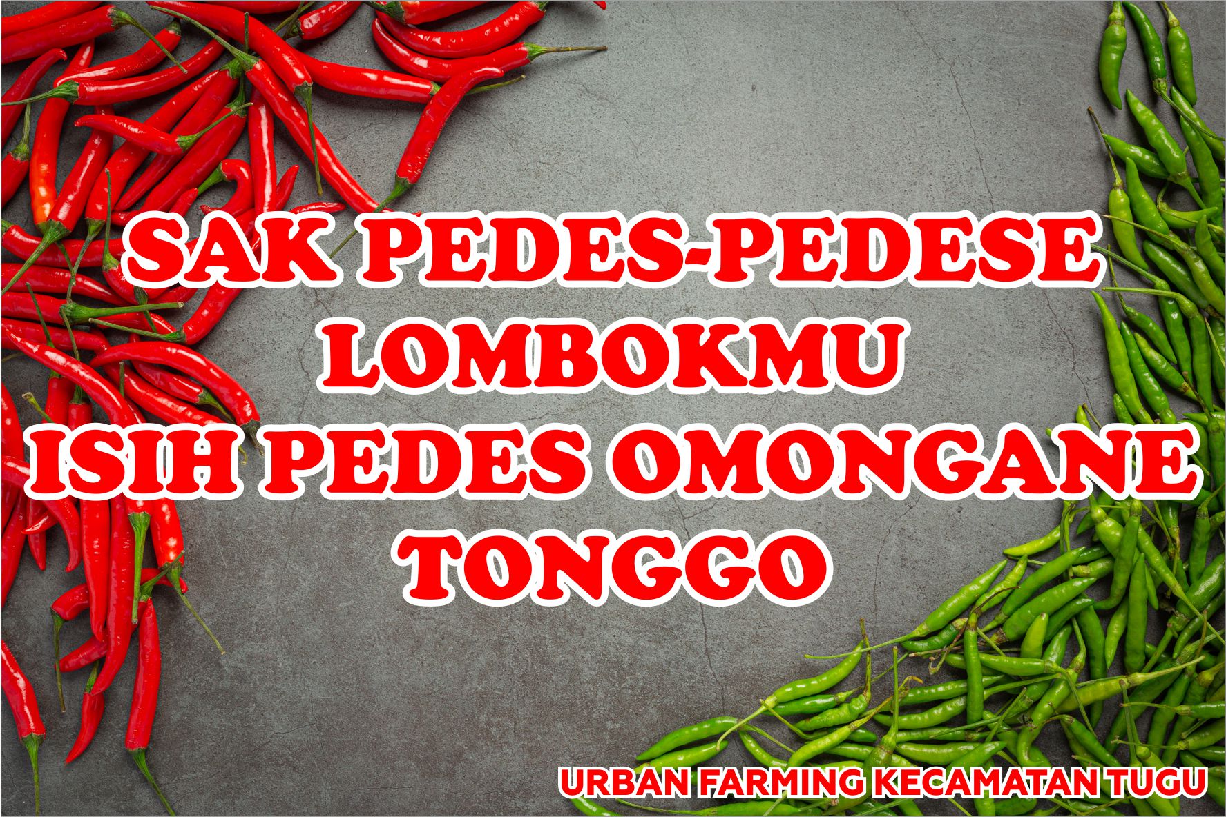 URBAN FARMING KECAMATAN TUGU