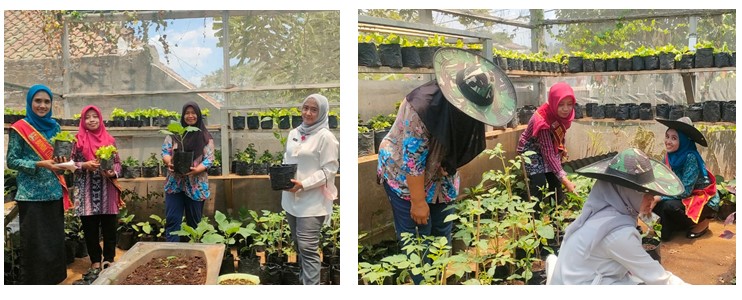 SALIMAN (Satu Keluarga Lima Tanaman Pangan)